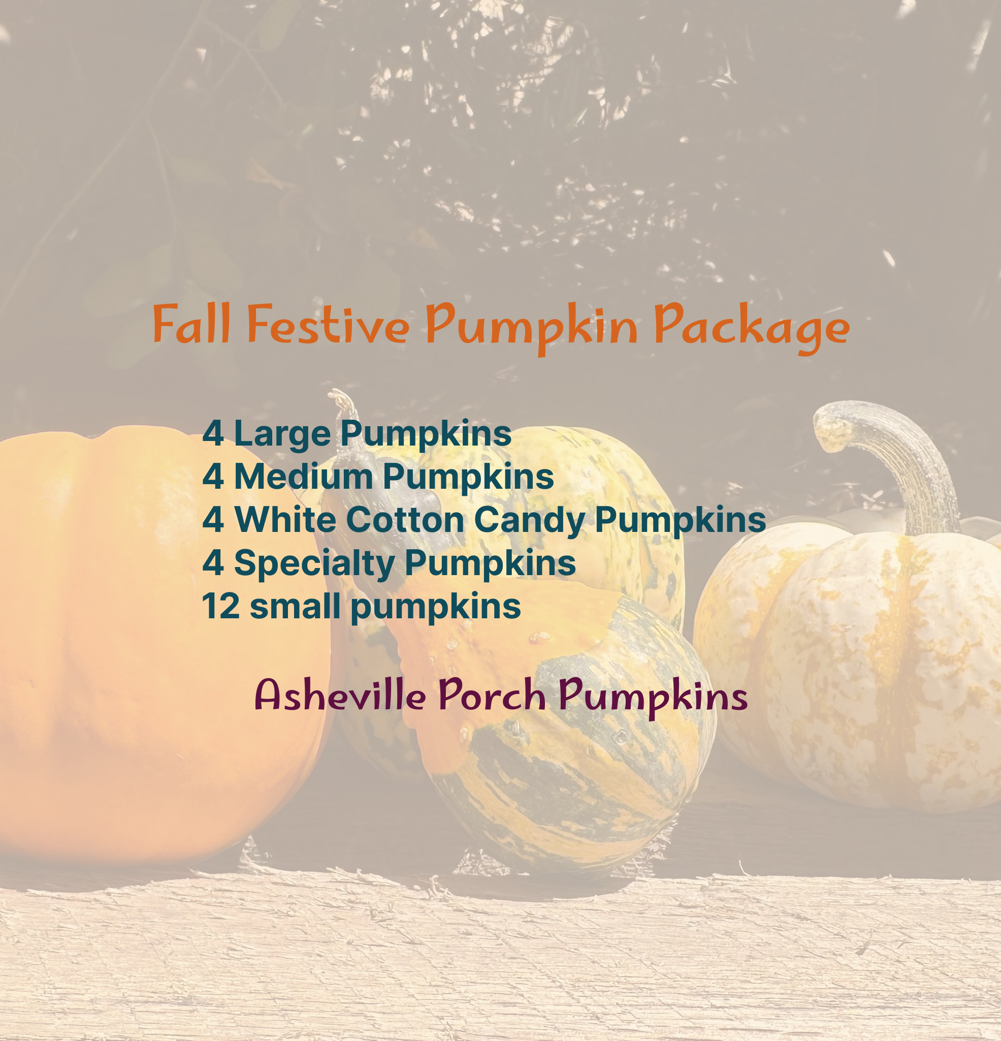 Fall Festive Pumpkin Package