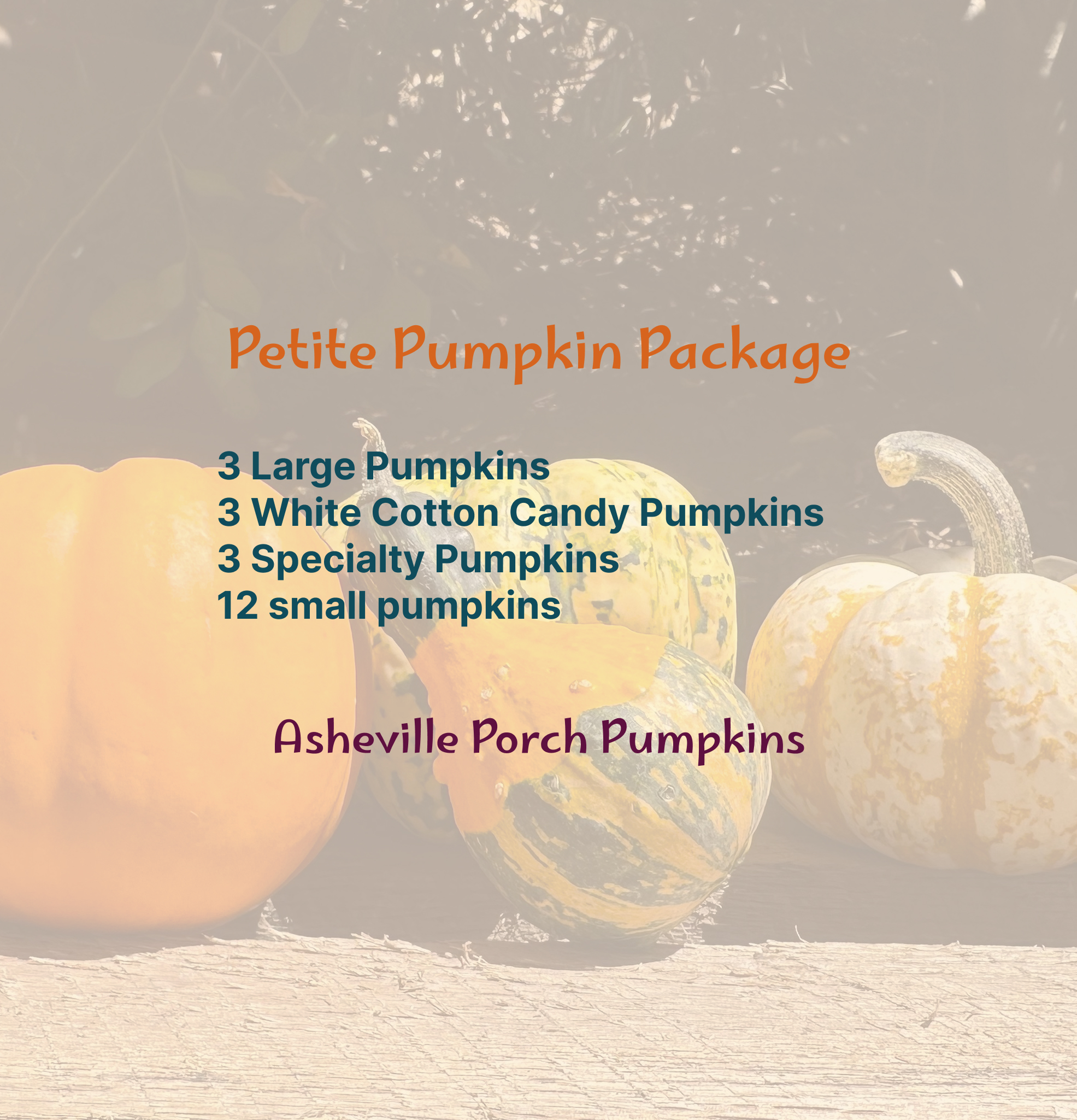 Petite Pumpkin Package