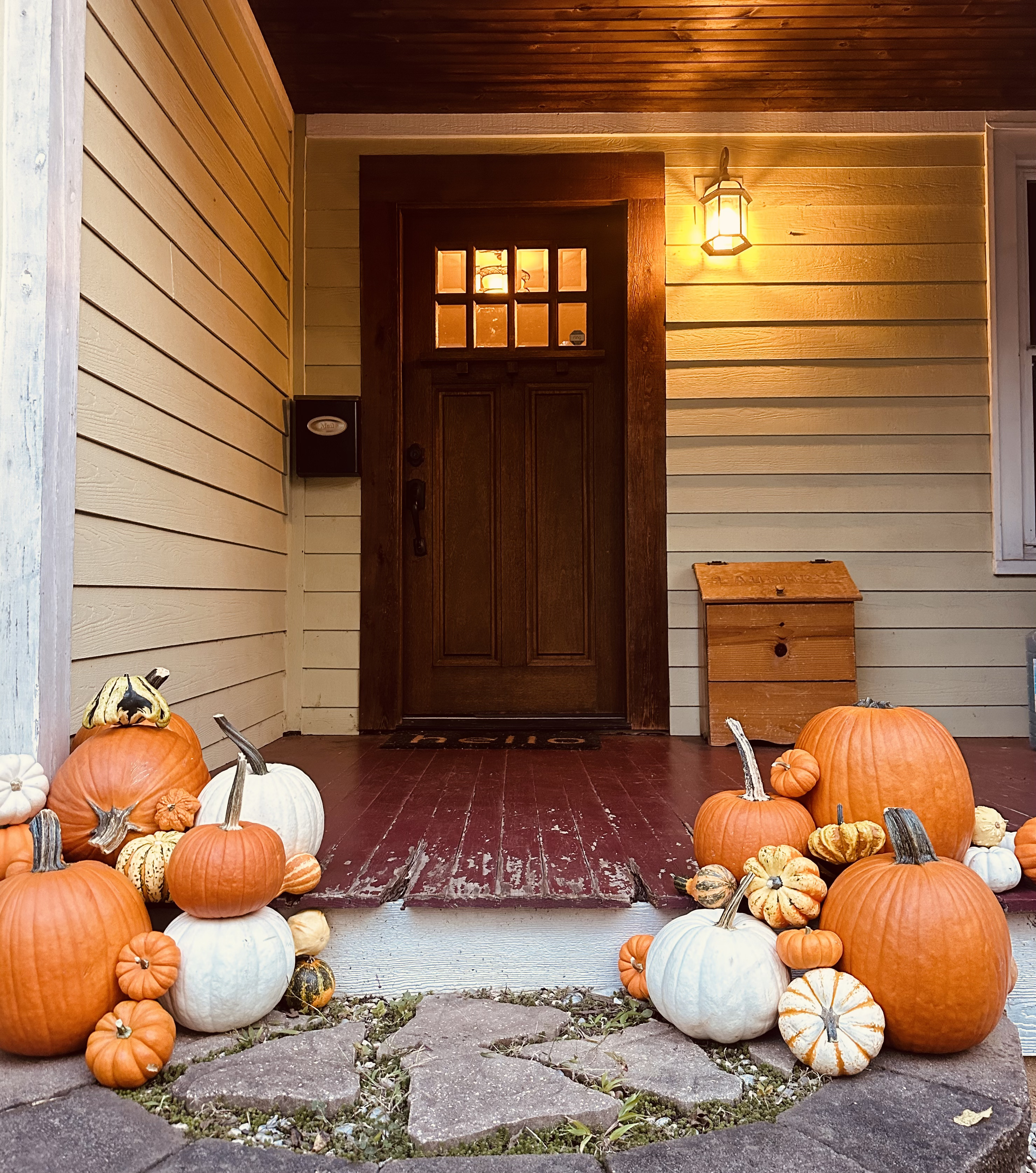 About AVL Pumpkins - Asheville's Original Pumpkin Delivery Service